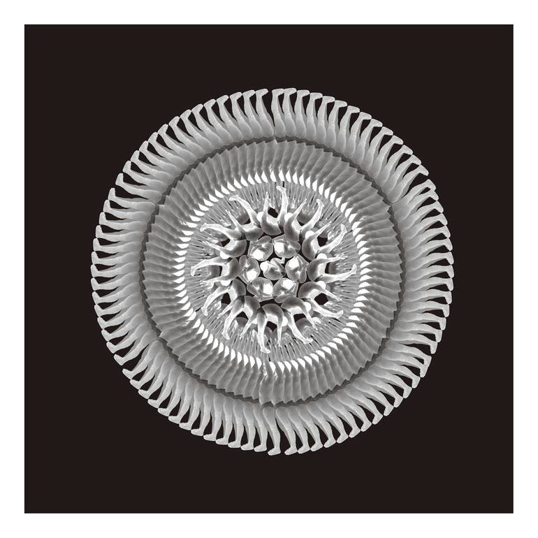 Original Abstract Body Photography by Negin Vaziri