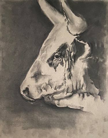 Print of Realism Animal Drawings by James Stephens