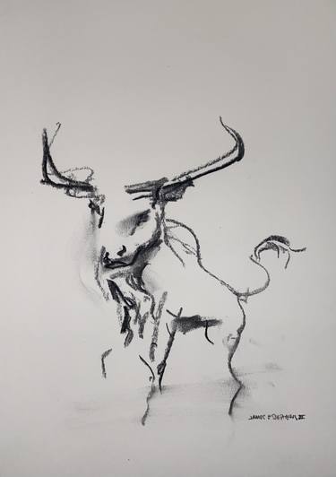 Print of Cows Drawings by James Stephens