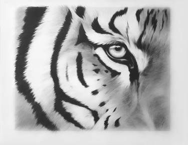Animal black & white - Tiger thumb