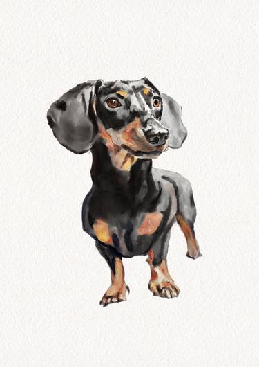Original Illustration Dogs Paintings by Sebastian Hack