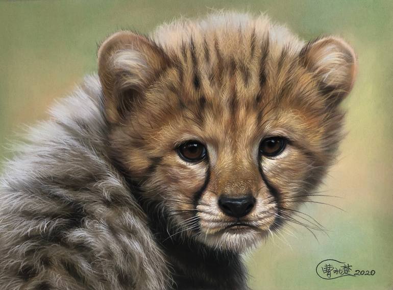 how to draw a cheetah cub