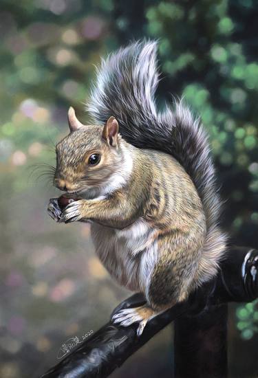 Squirrel (framed) thumb
