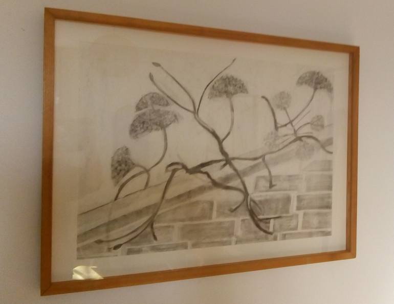 Original Figurative Botanic Drawing by Alex Zeman