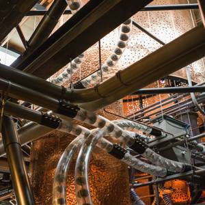 Orange - Summer Session