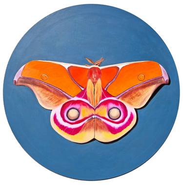 Suraka silk moth (series Moth #4) thumb