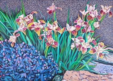 Copper Irises thumb