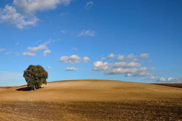 Original Modern Nature Photography by Claudia Costantino