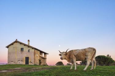 Print of Modern Portrait Photography by Claudia Costantino