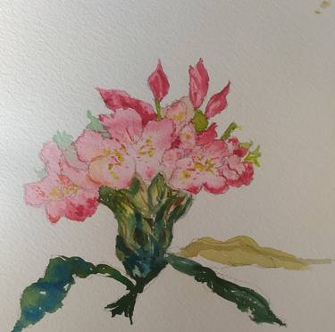 Original Floral Drawings by Paz Araujo