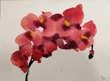 Original Floral Paintings by Paz Araujo
