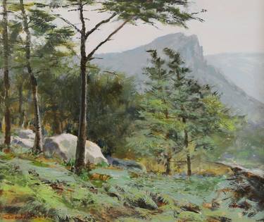 Original Impressionism Landscape Paintings by David Barber