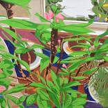 HOUSE PLANTS by David Disko