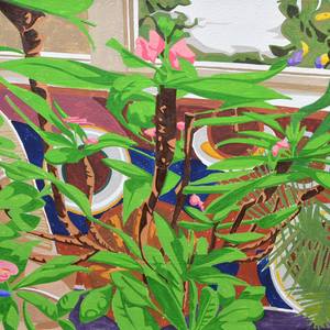 HOUSE PLANTS