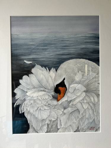 Original Realism Animal Paintings by Lisa Long