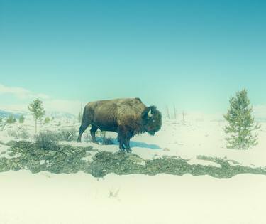 Yellowstone Park Wyoming - Limited Edition of 25 thumb