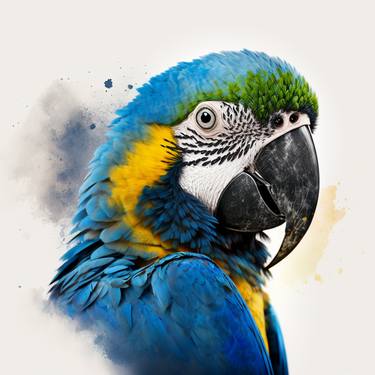 Blue macaw thumb