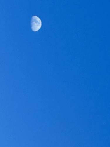 The Moon In The Afternoon thumb