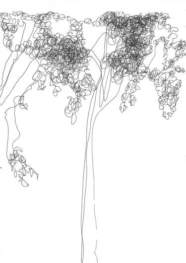 Tangled Tree thumb