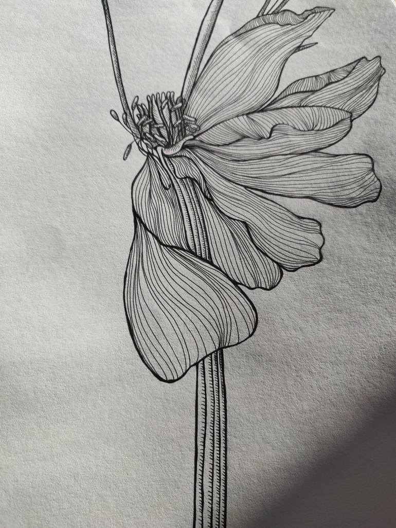 Original Illustration Floral Drawing by Katrin Savich