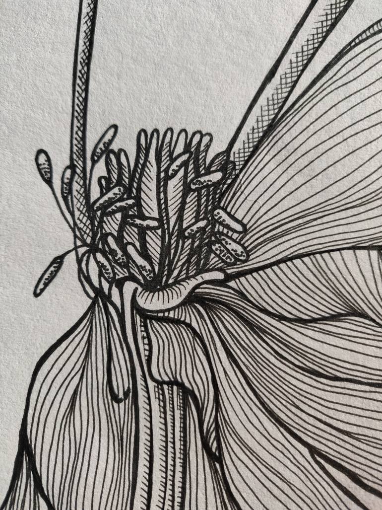 Original Illustration Floral Drawing by Katrin Savich