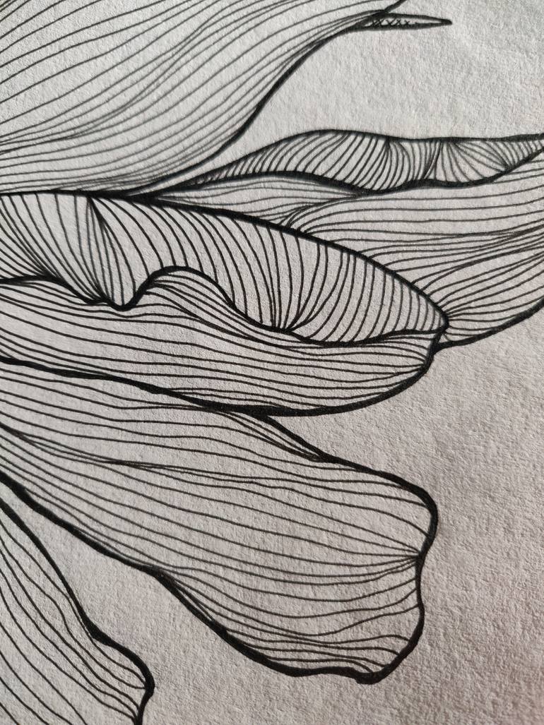 Original Illustration Floral Drawing by Katrin Savich