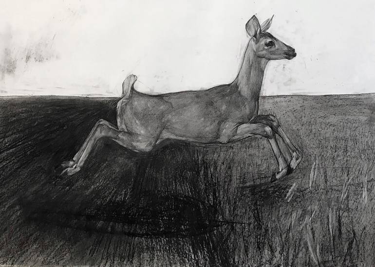 Original Figurative Animal Drawing by Sofia Yachmin