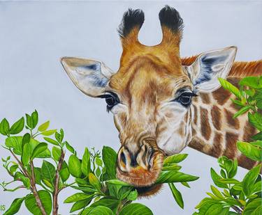 Print of Realism Animal Paintings by Sabina Irgaliyeva