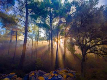 Original Fine Art Landscape Photography by Erkan Cerit