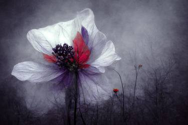 Original Fine Art Floral Digital by Erkan Cerit