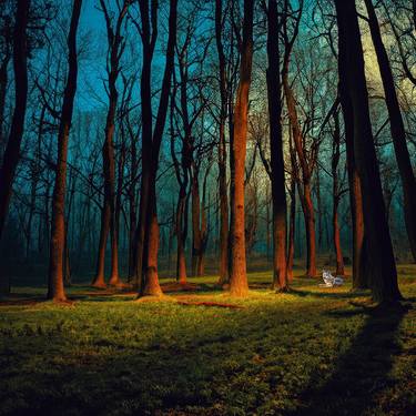 Original Contemporary Landscape Photography by Erkan Cerit