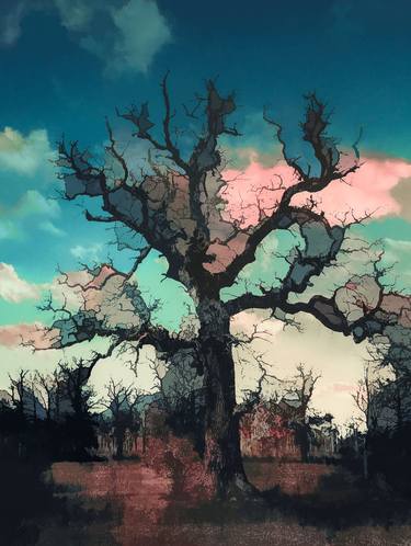 Print of Pop Art Tree Photography by Erkan Cerit