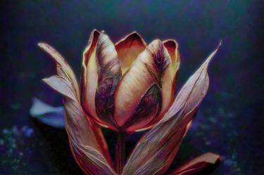 Original Figurative Floral Digital by Erkan Cerit