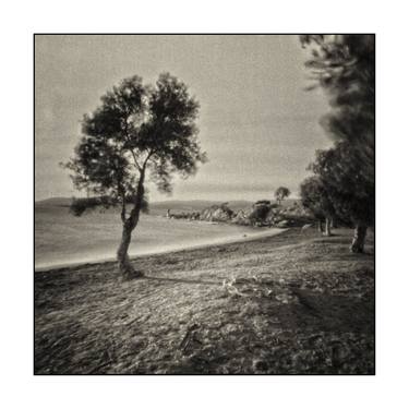 Pinhole Image "Lone Olive" thumb