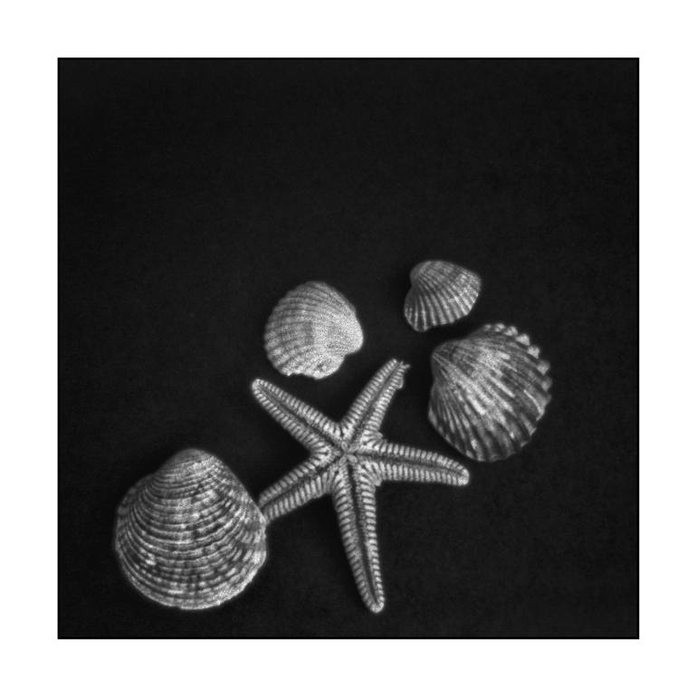 Print of Art Deco Still Life Photography by Yury Melnikov