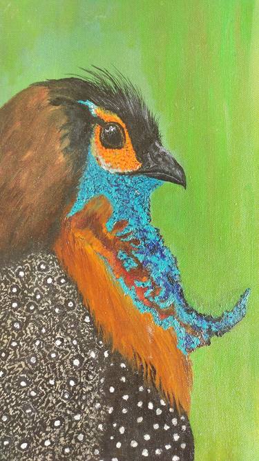 Western Tragopan thumb