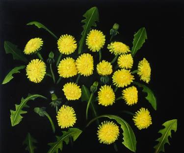 Original Floral Paintings by Irina Kvantaliani