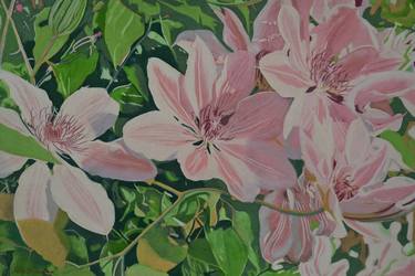 Original Impressionism Botanic Drawings by Sally Trueman