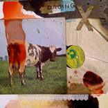 'DARAH DAGING'  by Nizam Rahmat