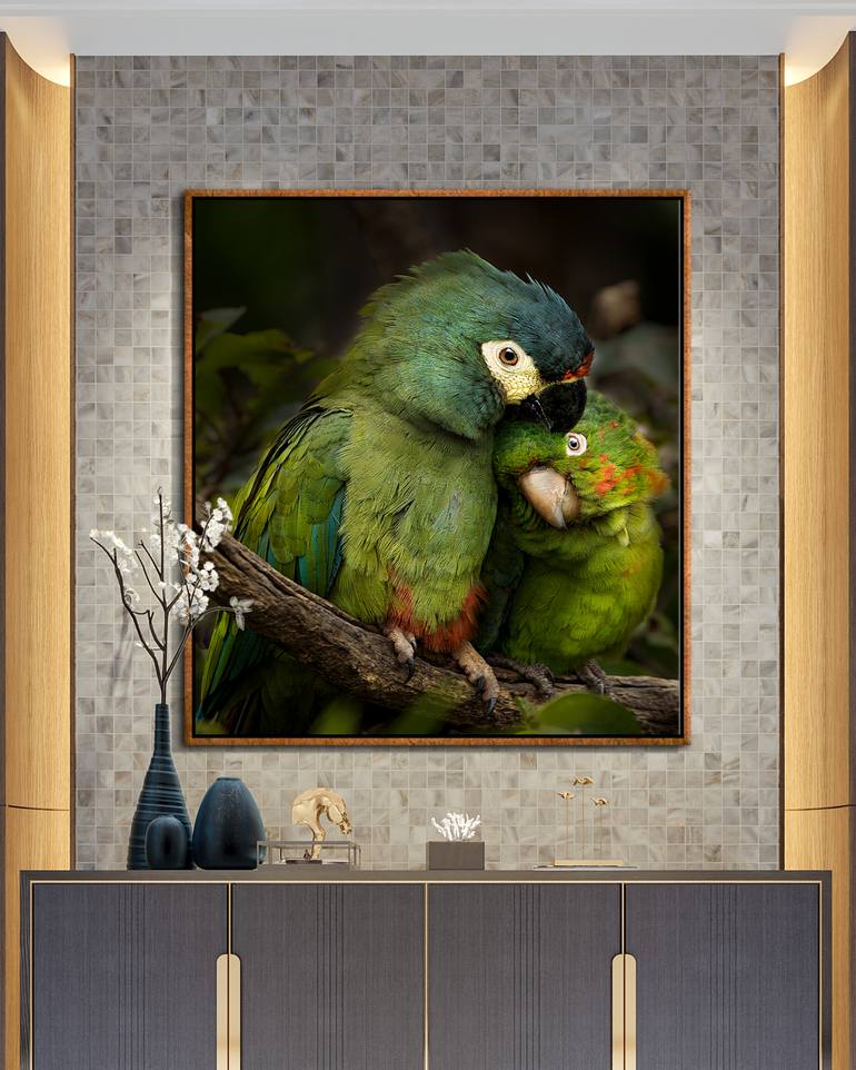 Original Other Nature Photography by Paulo Keffel
