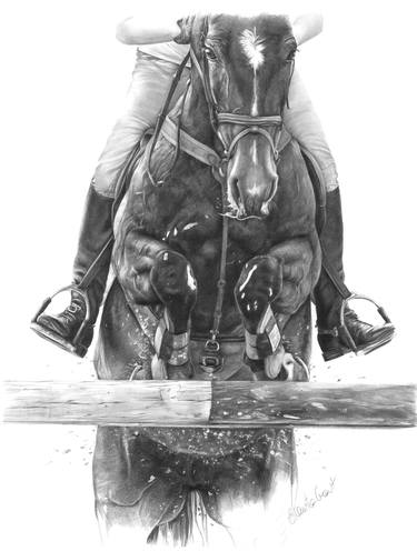 Original Realism Horse Drawings by Sheona Hamilton-Grant