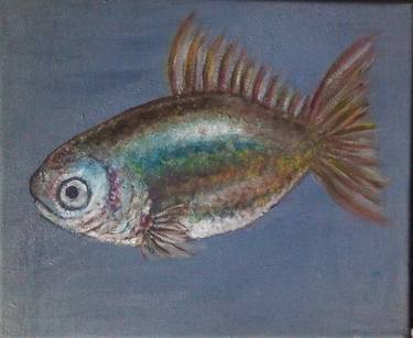 Original Fish Paintings by Maia Bilikhodze