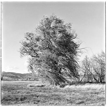 Original Black & White Landscape Photography by Bob Rosinsky