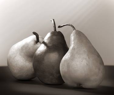 Original Black & White Botanic Photography by Bob Rosinsky