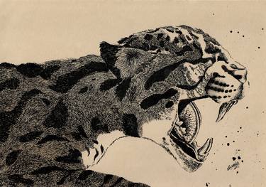 Print of Animal Drawings by Coralie PIMENTA