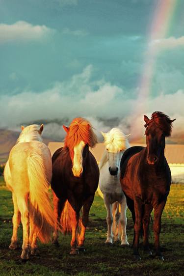 Rainbow horses - Limited Edition of 200 thumb