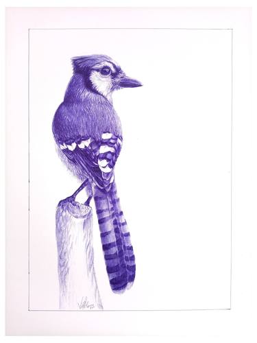 Blue Ballpoint Pen Animal Drawings