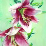 Lilies by Karen Remsen