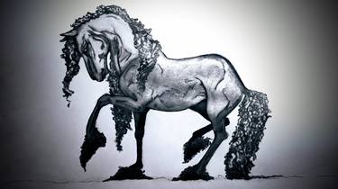 Original Fine Art Horse Printmaking by Kasstle Kiess