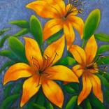 Collection Yellow